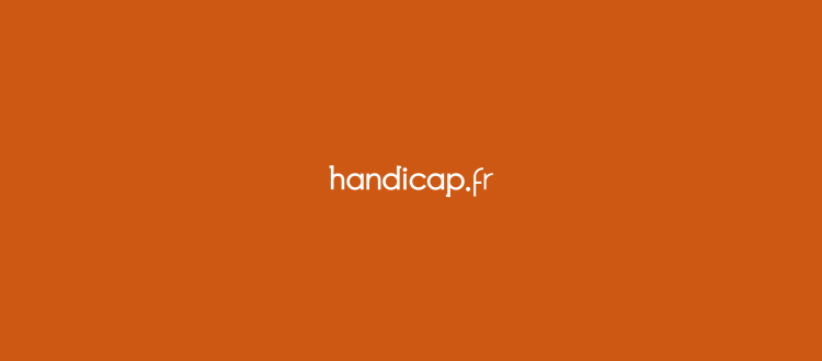 Article handicap.fr
