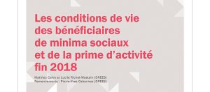 rapport condition de vie rsa